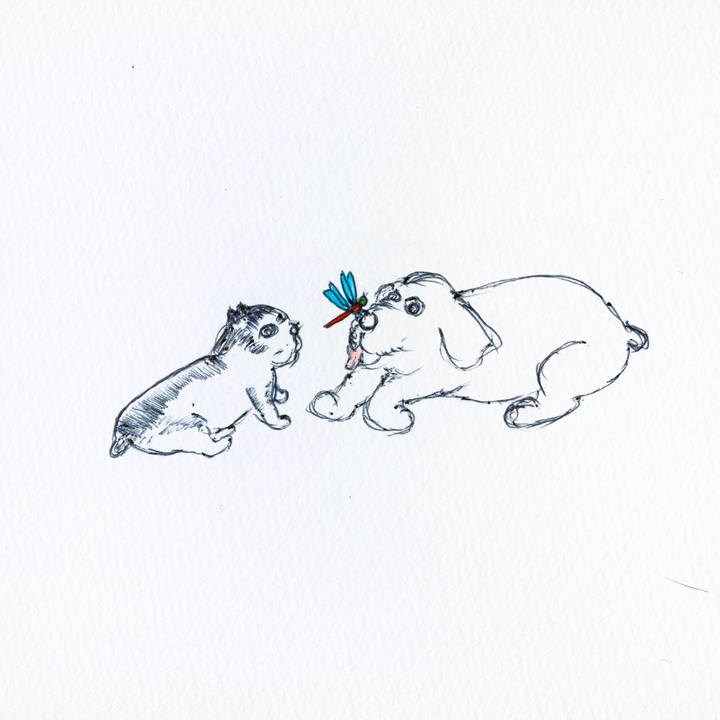 3c7733fc 73c7 4bb3 ad8e 67c21eae3ad1 1603977940187