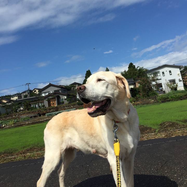 3c773d6c 1999 4c76 9466 73de776bc5df 1640757079530