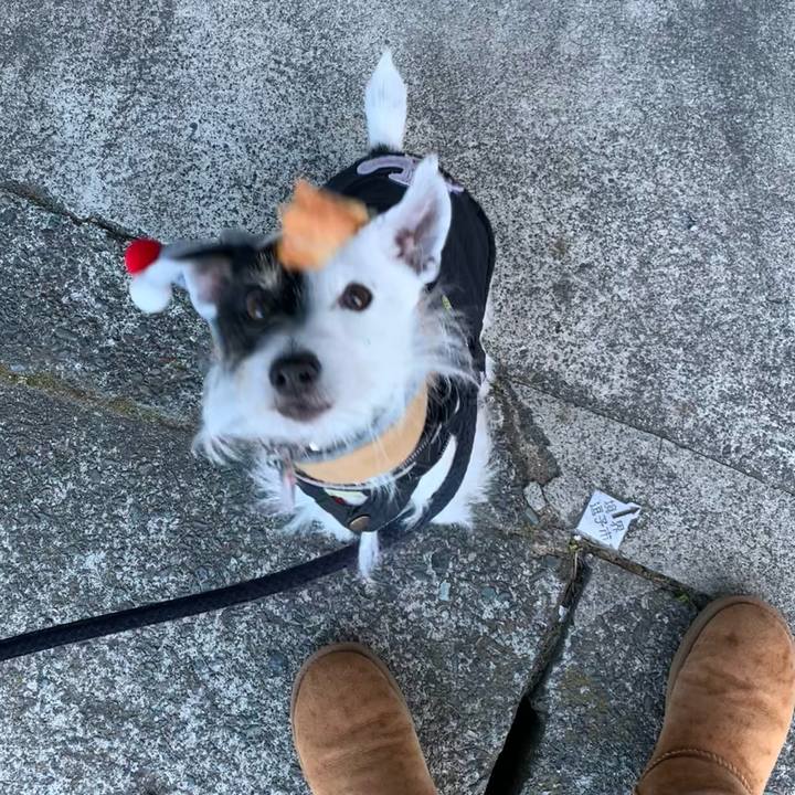 3c7743c2 5482 4368 9231 88c4757af476 1704761707417