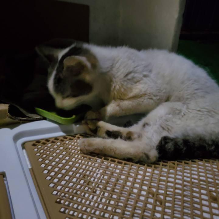 3c774ac3 c619 4d5f 963d 5fd2d5f4c7cc 1756129446592