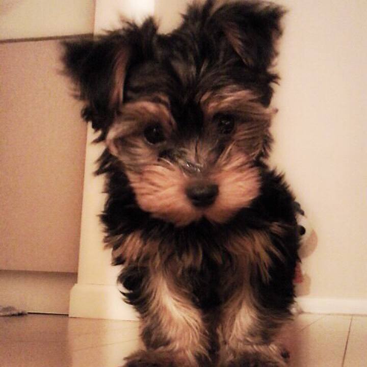 3c7750d3 4ccb 42f6 98fa cbe053fcaa81 1511389444113