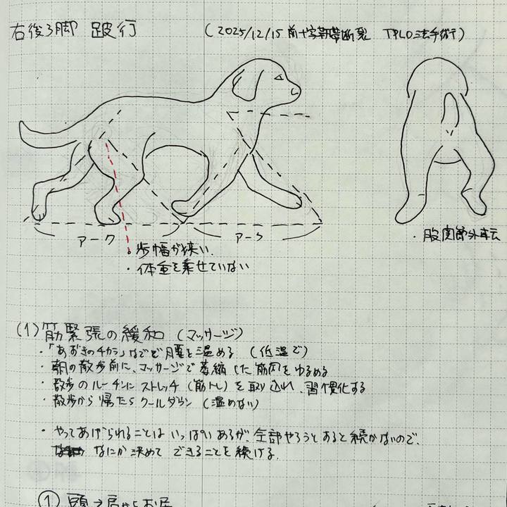 3c776b9c 89b0 4155 8171 87fa96fa0b88 1774143912721