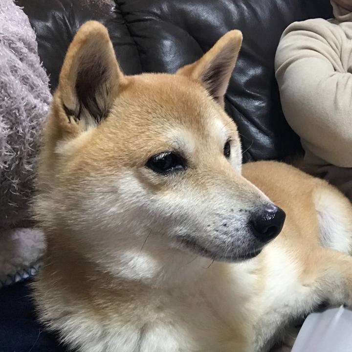 3c777940 9c3b 45f3 a9a7 6fec9a38b705 1518485802182