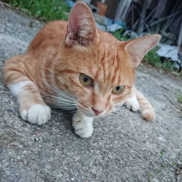 3c77a354 cbbd 450d 8c02 7ecca3438ac3 1599642688790