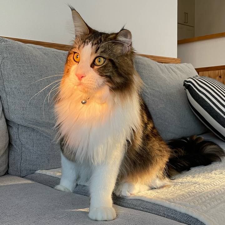 3c77a35e 705a 42d7 9375 7b150fcf3987 1650747182815