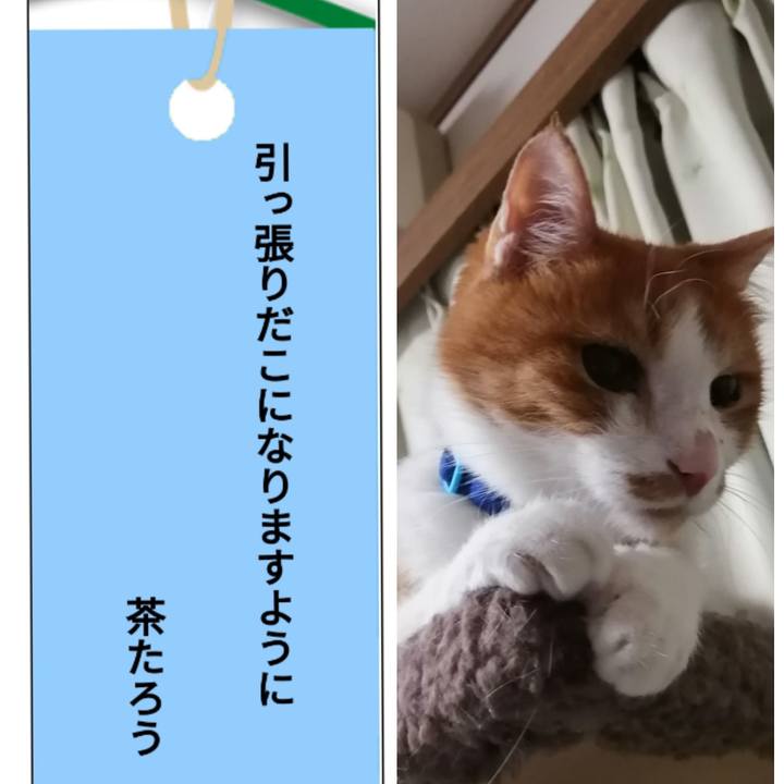 3c77f2bd 6ccc 4325 b760 95ef4b62bfdf 1625659397993