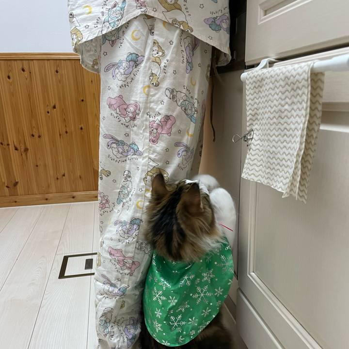 3c782dc9 a4c6 4a59 a4f9 a014b0e5b097 1640419903025