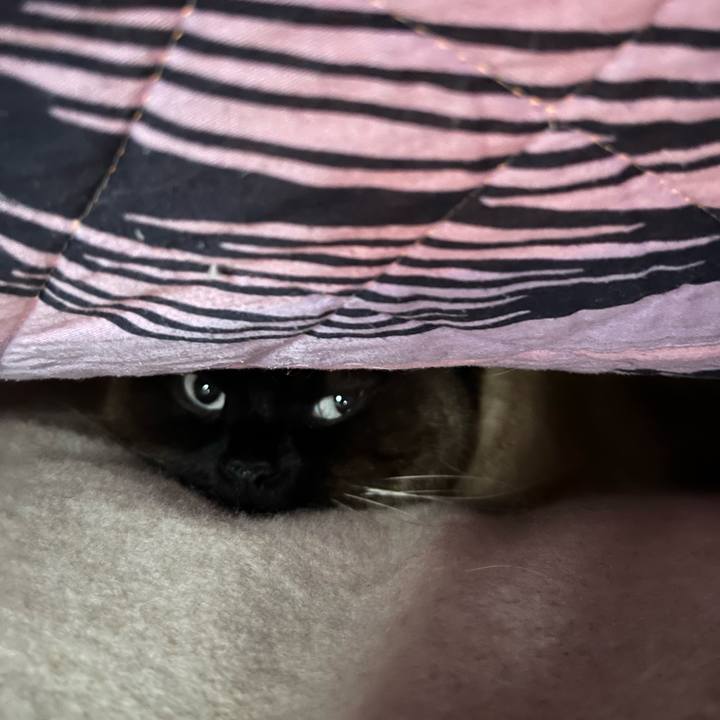 3c78a332 4ca4 4570 9f02 3eb1a8b09963 1645836516079