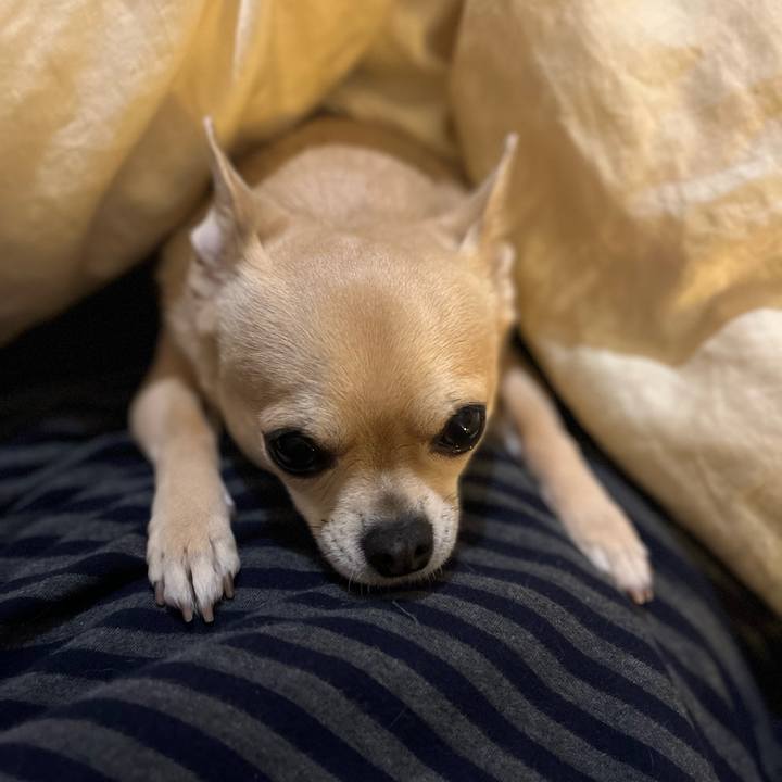 3c78ba40 75bb 4746 902f 753e7f895cb9 1651924239912