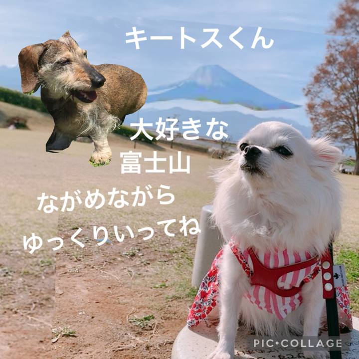 3c790ee6 5a79 43c1 9314 fd0737e6117e 1620453365020