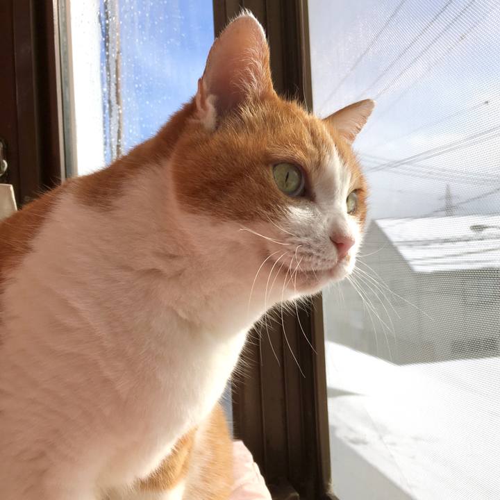 3c791528 afbf 426c b285 bd7ee4cd0032 1608523935579