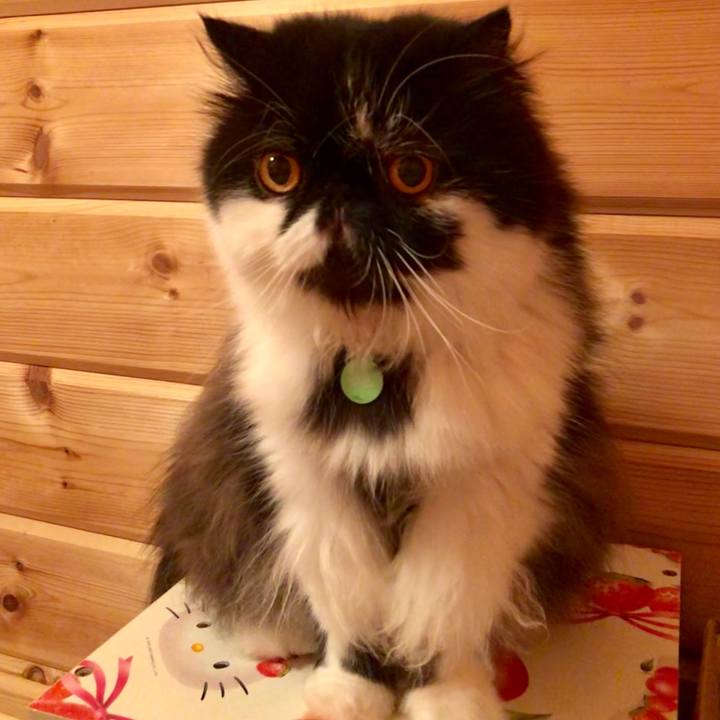 3c7931e4 3797 4e05 ae5f 60e0f4fd4129 1560604671023