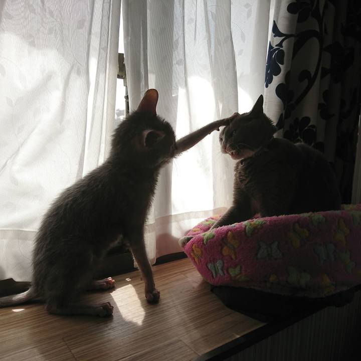 3c795a2d 1cb9 4dc1 83d7 273d28901a4a 1519795197776