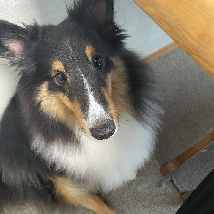 3c796090 3d6d 46ca 9961 9df17d9faa28 1630619838736