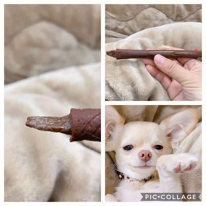 3c79688f 1b16 48f4 a61b b3f387551787 1604731836479