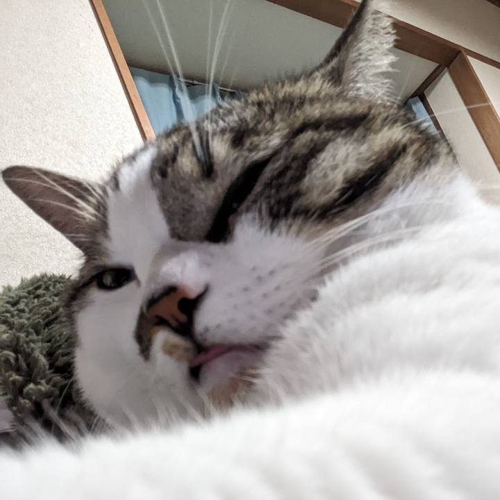 3c79d57b 24aa 4cc8 9ba6 90ff262b1a3b 1697026338419