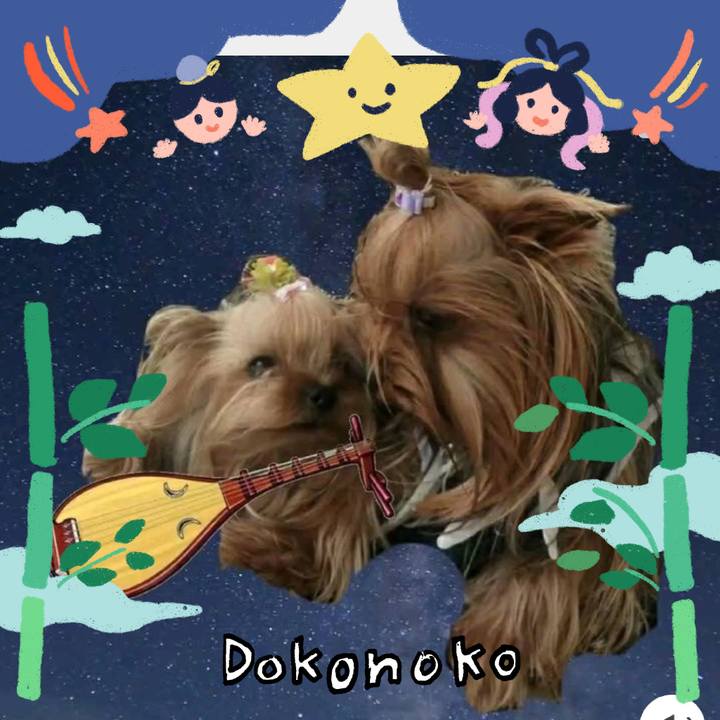 3c79fc4e 6dc0 467f 8f82 dd505d9ece5f 1720791662239