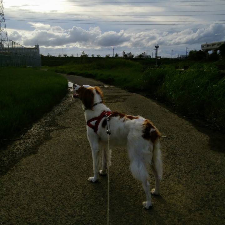 3c7a192b 1fbd 49d0 ade9 deab7f5f857b 1536319888113