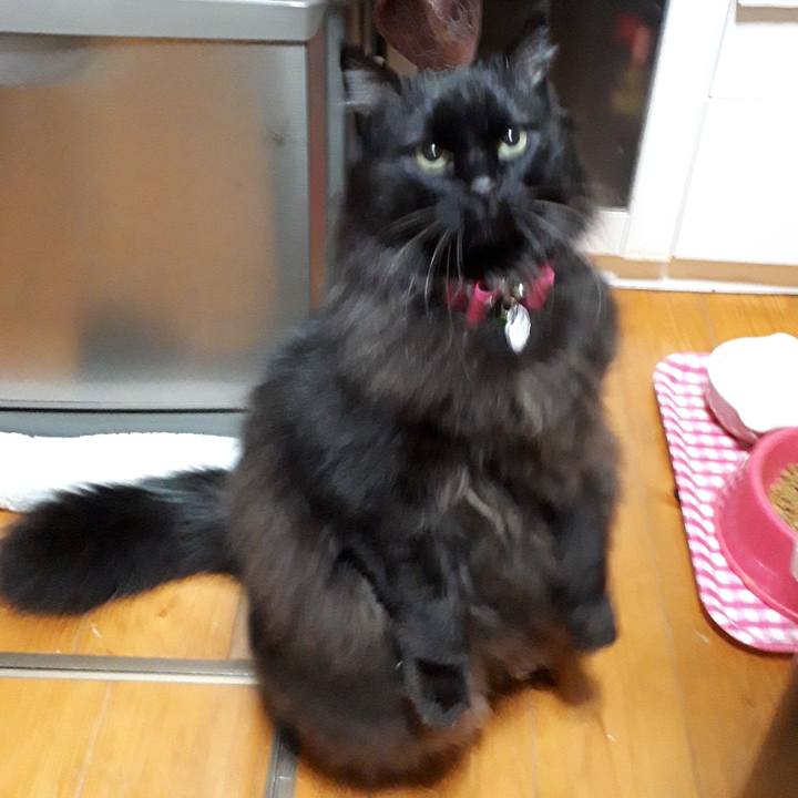 3c7a1c3e 5654 4daf 8ba9 fef03463a1c2 1522088454363