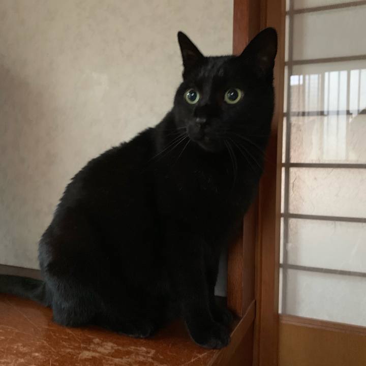 3c7a212a b291 485c 9cdc acd283278dc4 1547254620761