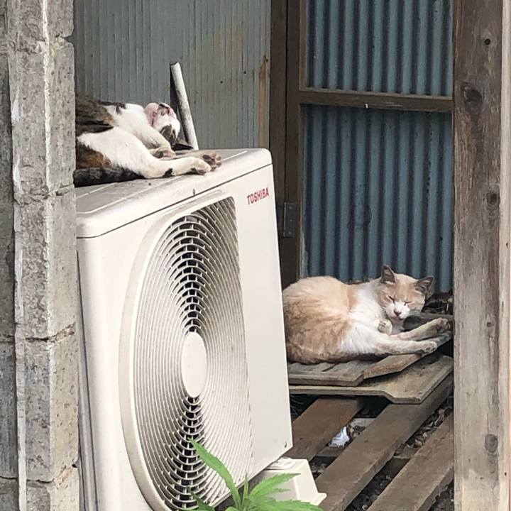 3c7a2796 f570 46ee aed9 3030f3c36304 1560604470459