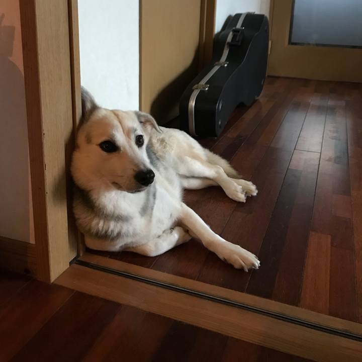 3c7afe3f 8c2b 43c9 b71c f704af61b33b 1547124185117