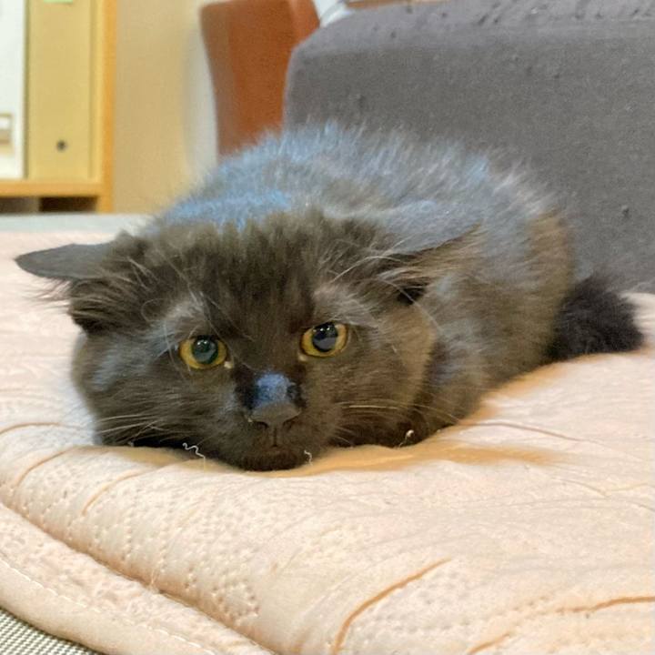 3c7b53df c120 4d27 bcb8 64391d8ef8bc 1703292968623