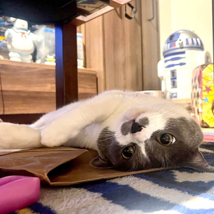 3c7b76dd 4513 49b6 b326 f71737e8e9de 1685980845379