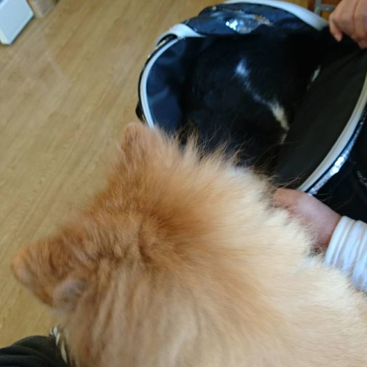 3c7ba3d2 6c15 45da b4ae 64a2740beb58 1508999609670