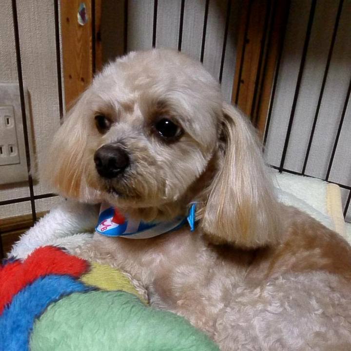 3c7bbcb2 2539 4bb1 b181 d0ddef82886a 1520210882789