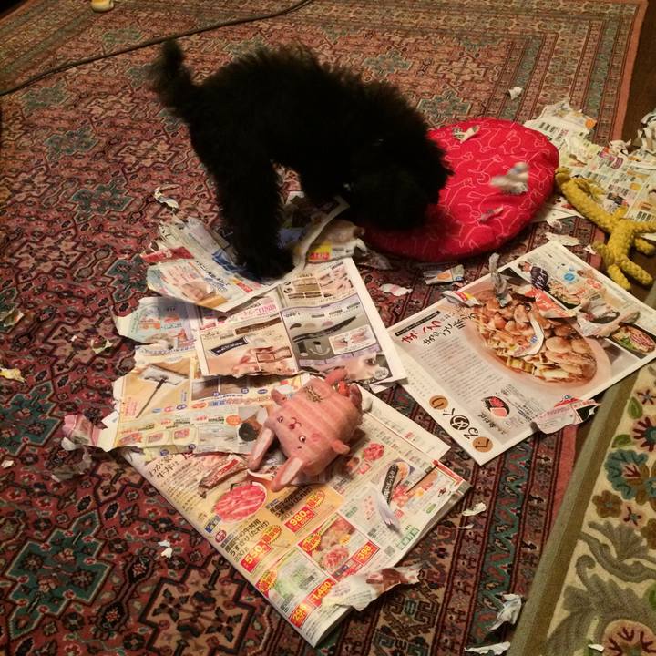 3c7bbdd3 0ef6 458f a78b 2123602e35cd 1509094983528