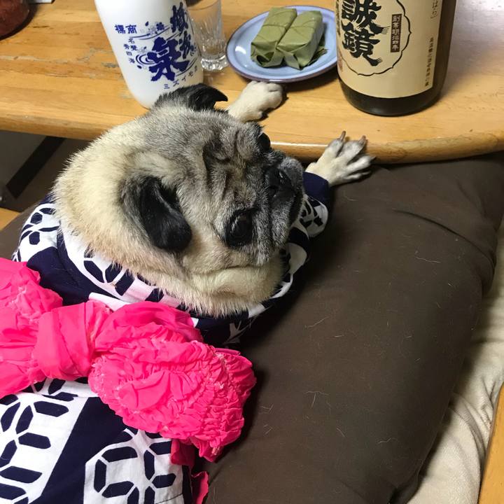 3c7bd651 8494 4f2d 8d10 c320d78e0a12 1534412824908