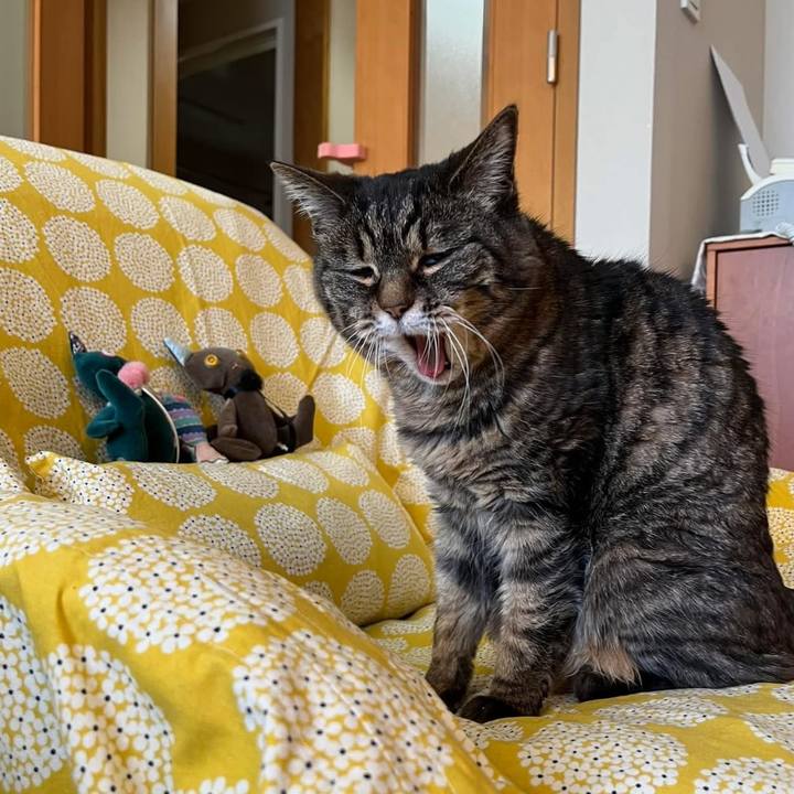 3c7bd8ae e1a1 4ab5 af68 8d78381ad300 1773456224720