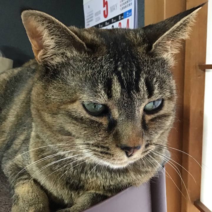 3c7bf652 5e63 4216 afd6 991bff892b8f 1715848084551