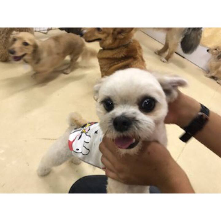 3c7c25bd 8402 46b6 ba00 1c8b437063bf 1531914361429