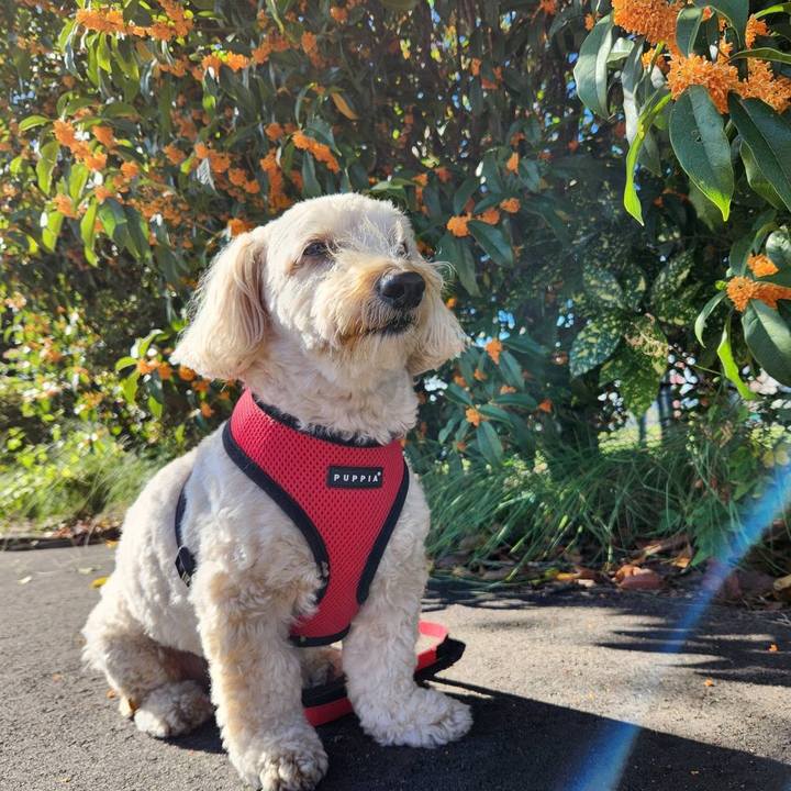 3c7c3e75 6136 4634 ad0a f0f52e976bc4 1762405069042