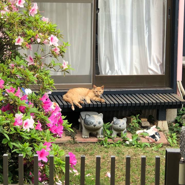 3c7c4441 0a91 4375 9966 5d69b7d9f7c5 1588577147249