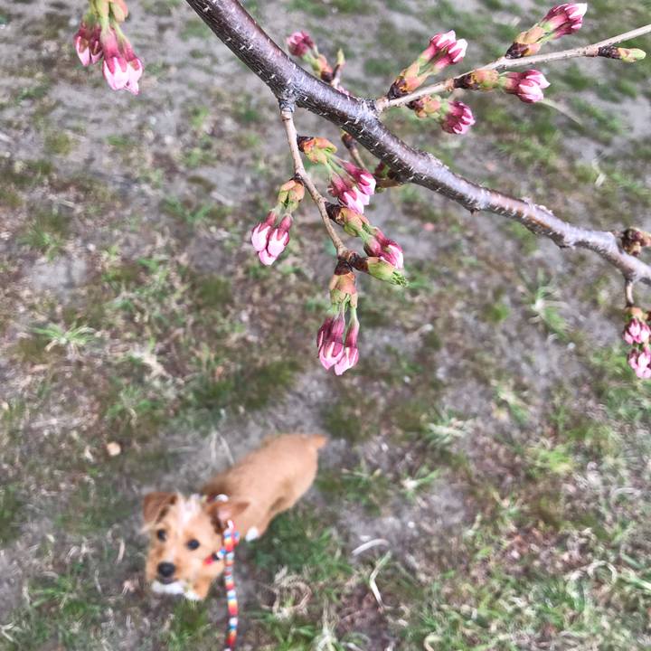 3c7c9b35 c966 4f68 93c4 d8f08add62fb 1522657812626