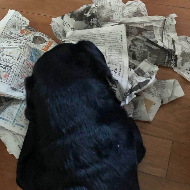 3c7cb249 2bdf 4e3b aecf 082568b629b8 1703470127882