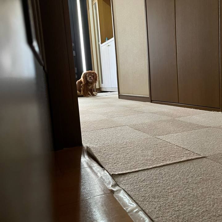 3c7cc46c 6c6e 4d7f a667 8f16f70f8591 1755297526598