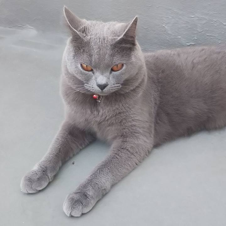 3c7ccb8e 058b 4f2b 9c8c c329c3357a2f 1538555606189