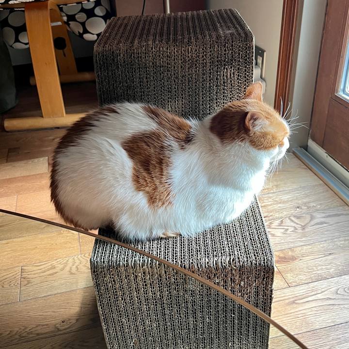 3c7ccd37 cbd2 4a07 9c6d 1fc3e63f0c95 1771306828370