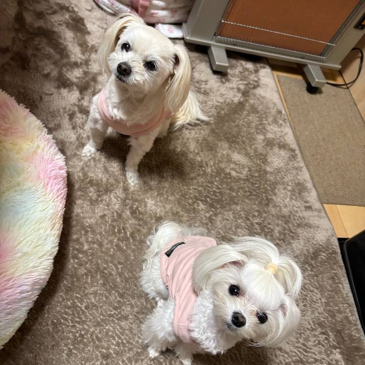 3c7cd871 ee9c 42e7 af8c 0e74bbb472ef 1765872397989