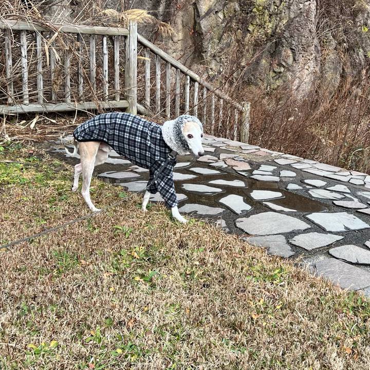 3c7cf6b8 f5f5 4e1b 8cfb 9009cdb257b8 1766391841623