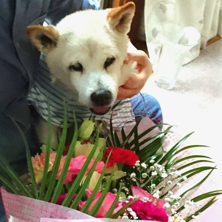 3c7d0507 1c99 4ffe b046 4137daf8d2f9 1526188420002