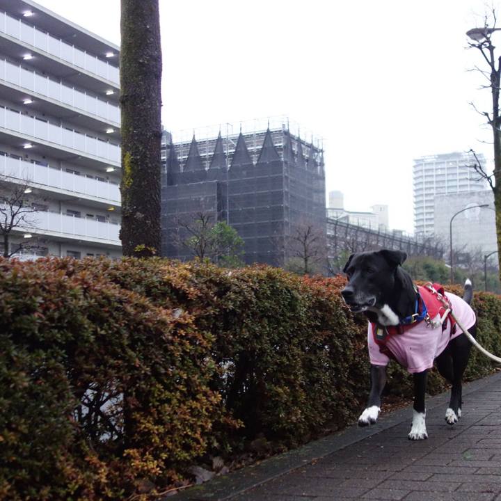 3c7d2456 fef2 4146 9310 701f74905fca 1673830696414