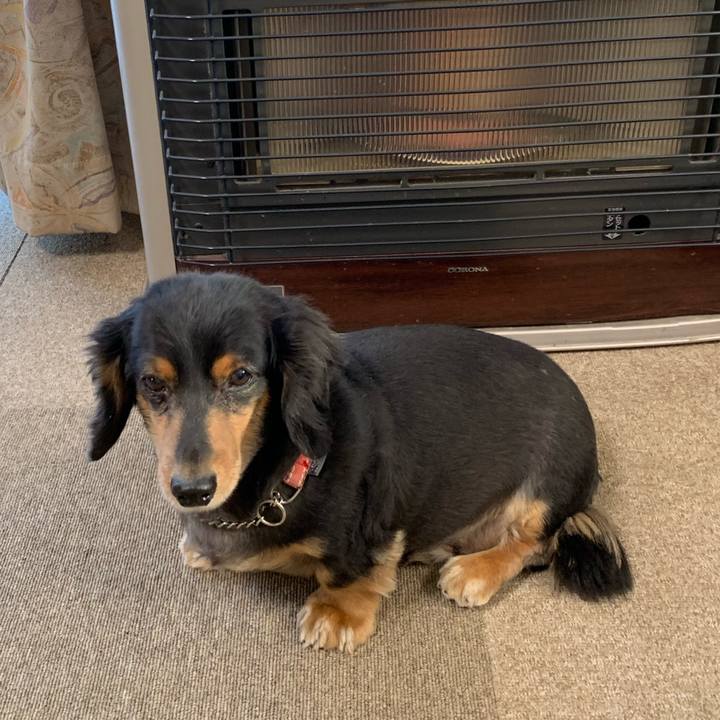 3c7d8eb7 1430 46b6 a379 136e407ac26d 1572904740466