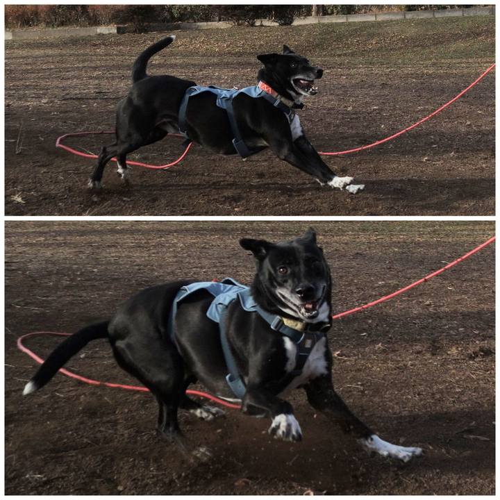 3c7dc3b6 5c16 479b 9596 99b012dc0b97 1704333394967