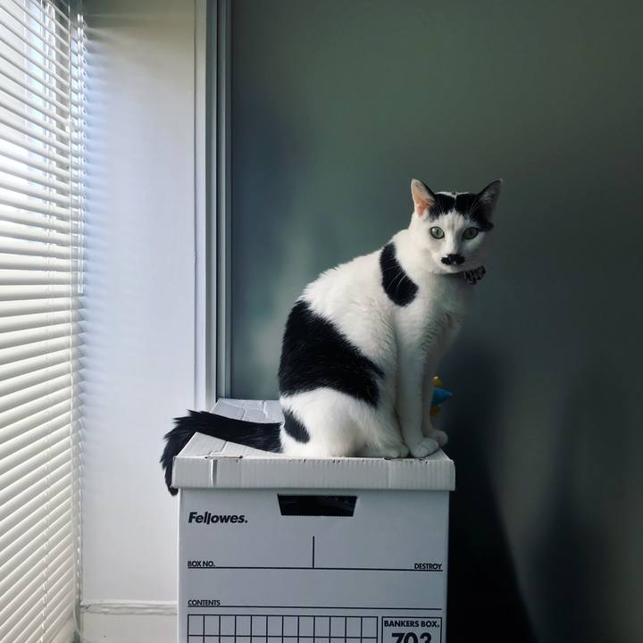 3c7dc9eb 3382 44c6 a094 09bd3e7f7e19 1508770226348