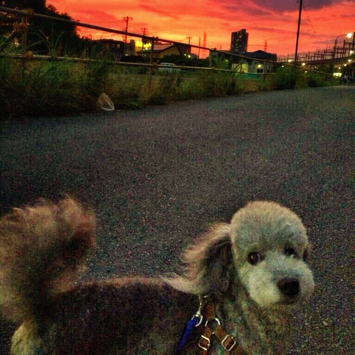 3c7df74f 5daf 48f9 8de0 bddad65edce6 1773017208631